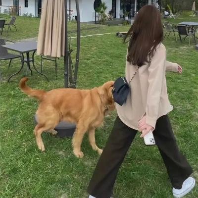 不中用的我仰望天空